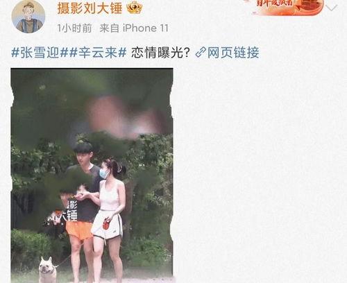 娱乐圈吃瓜劲爆视频,劲爆视频背后的惊人真相